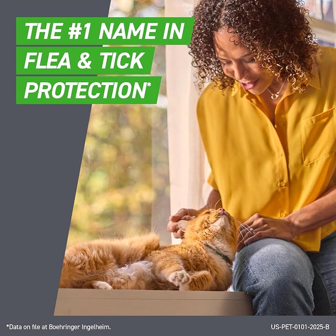 FRONTLINE Plus Flea & Tick Treatment for Cats & Kittens – 6 Count