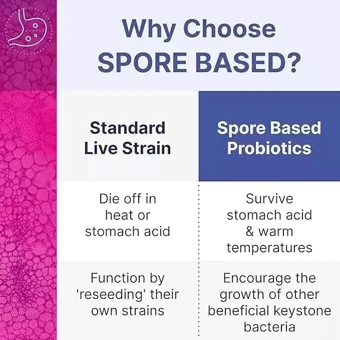 Mega Spore Biotic – 60 capsules New