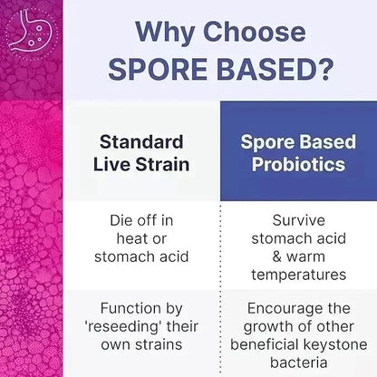Mega Spore Biotic – 60 capsules New